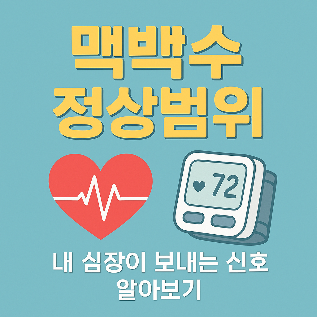 맥박수 정상범위