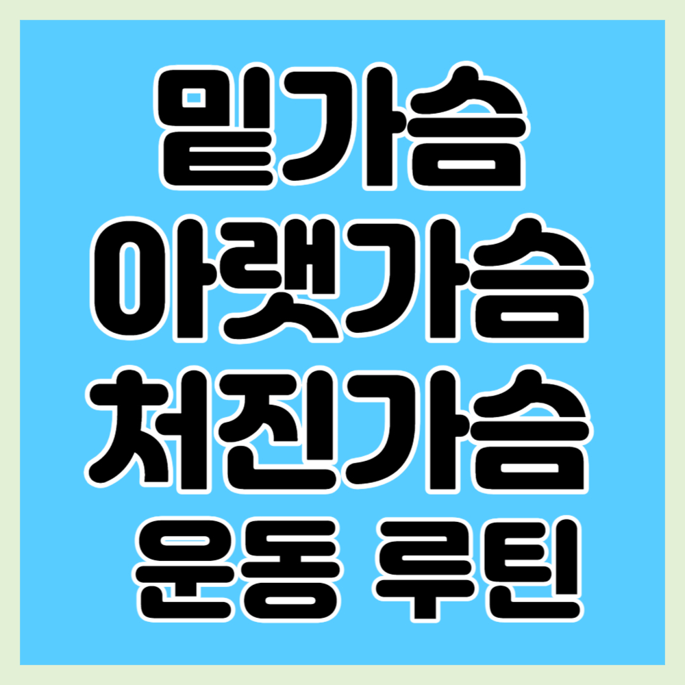 밑가슴 아랫가슴 처진가슴 운동 루틴