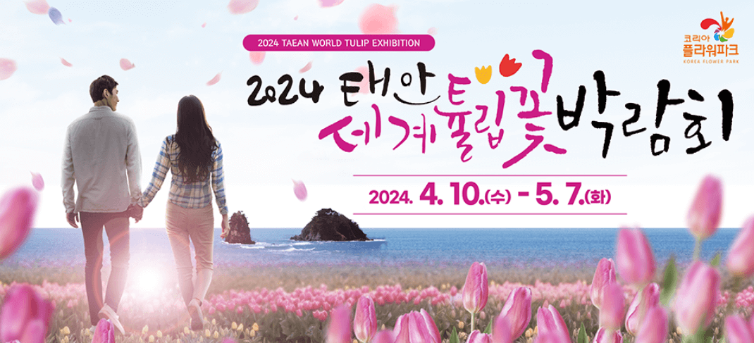 태안 세계 튤립 축제