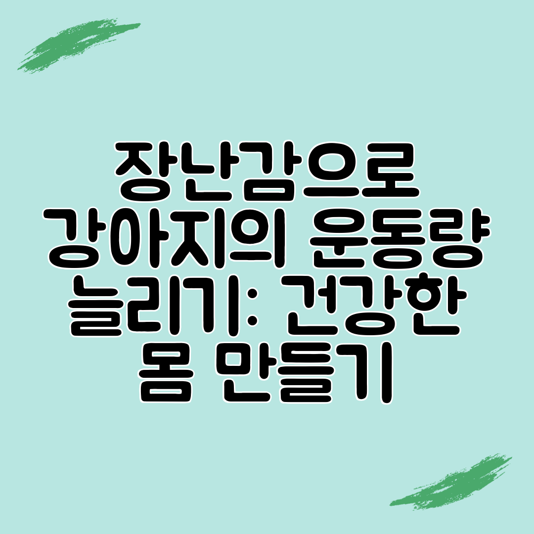 장난감으로 강아지의 운동량 늘리기 건강한 몸 만들기