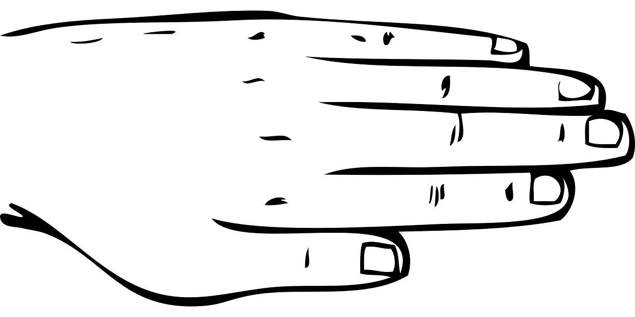 손목 결절종