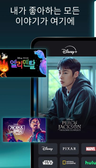 disneyplus.com/verifyage 바로가기