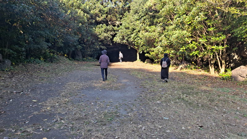 제주여행_성읍녹차마을_녹차동굴