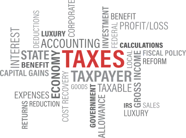 국세 완납증명서 인터넷발급