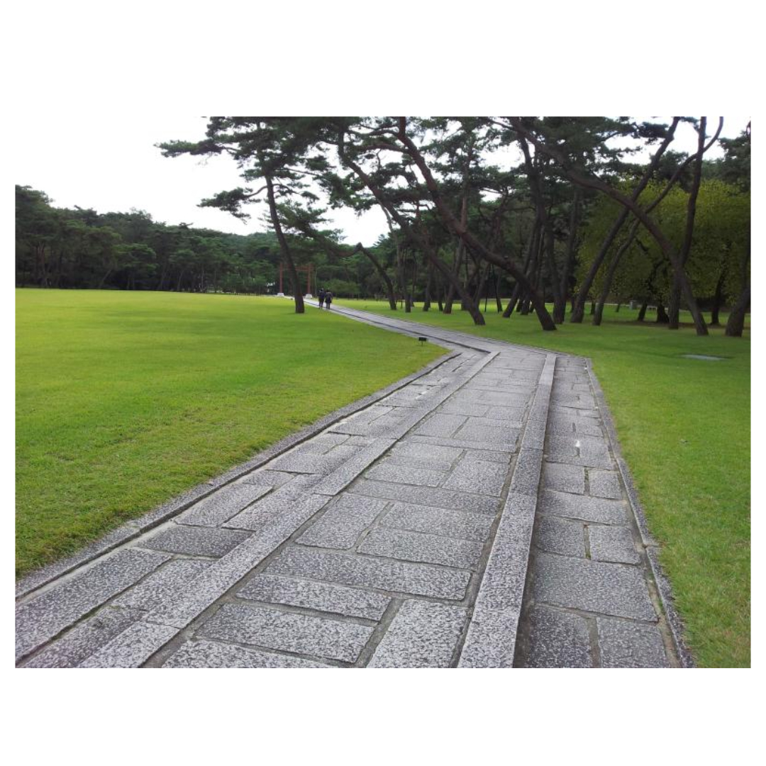 여주와 관련된 사진입니다.