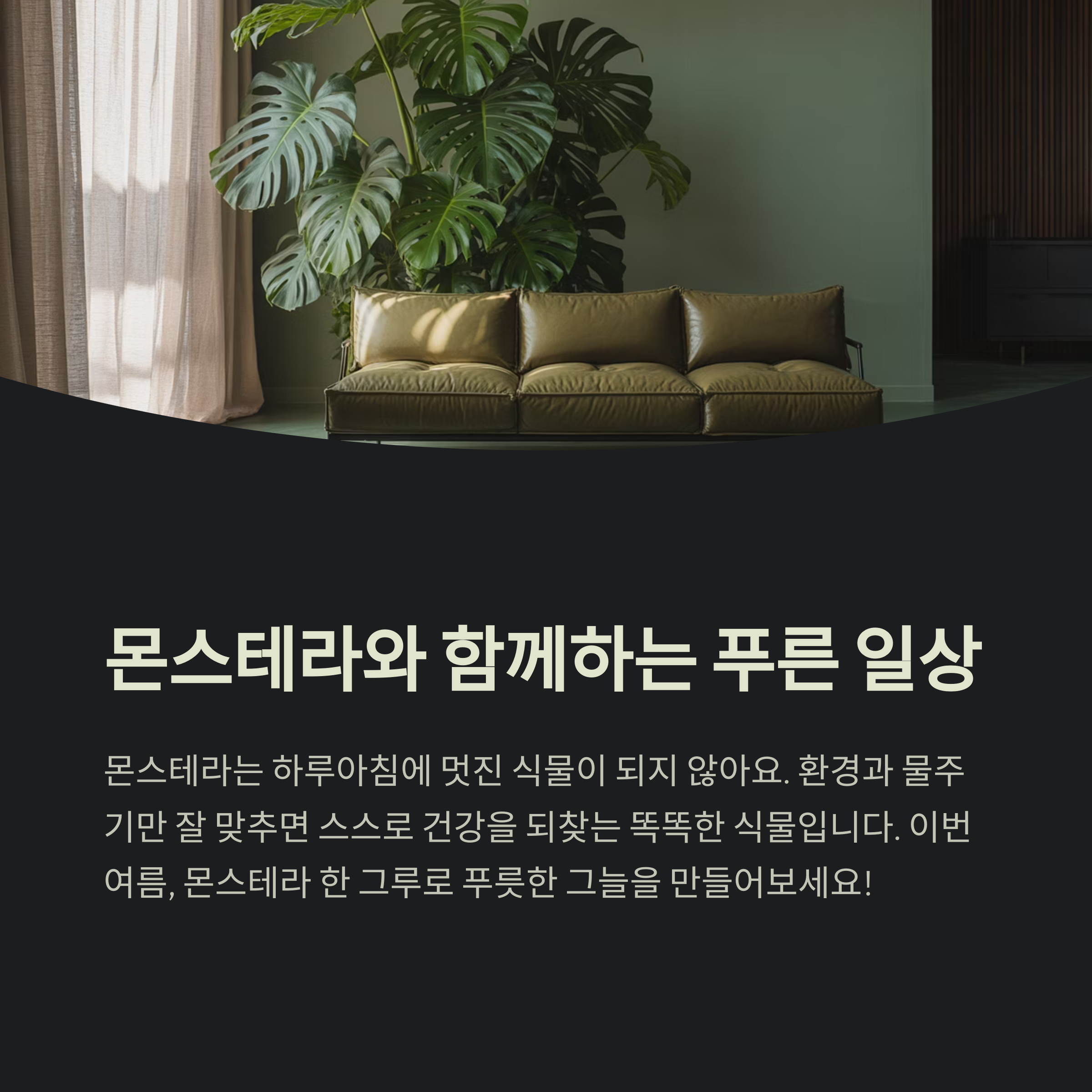 몬스테라 키우기, 인내와 관찰이 만든 정원