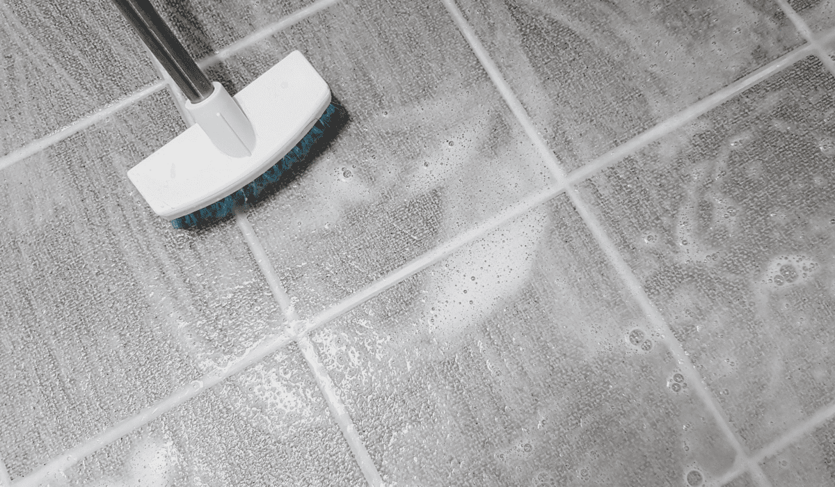 곰팡이_냄새_없애는_법_17