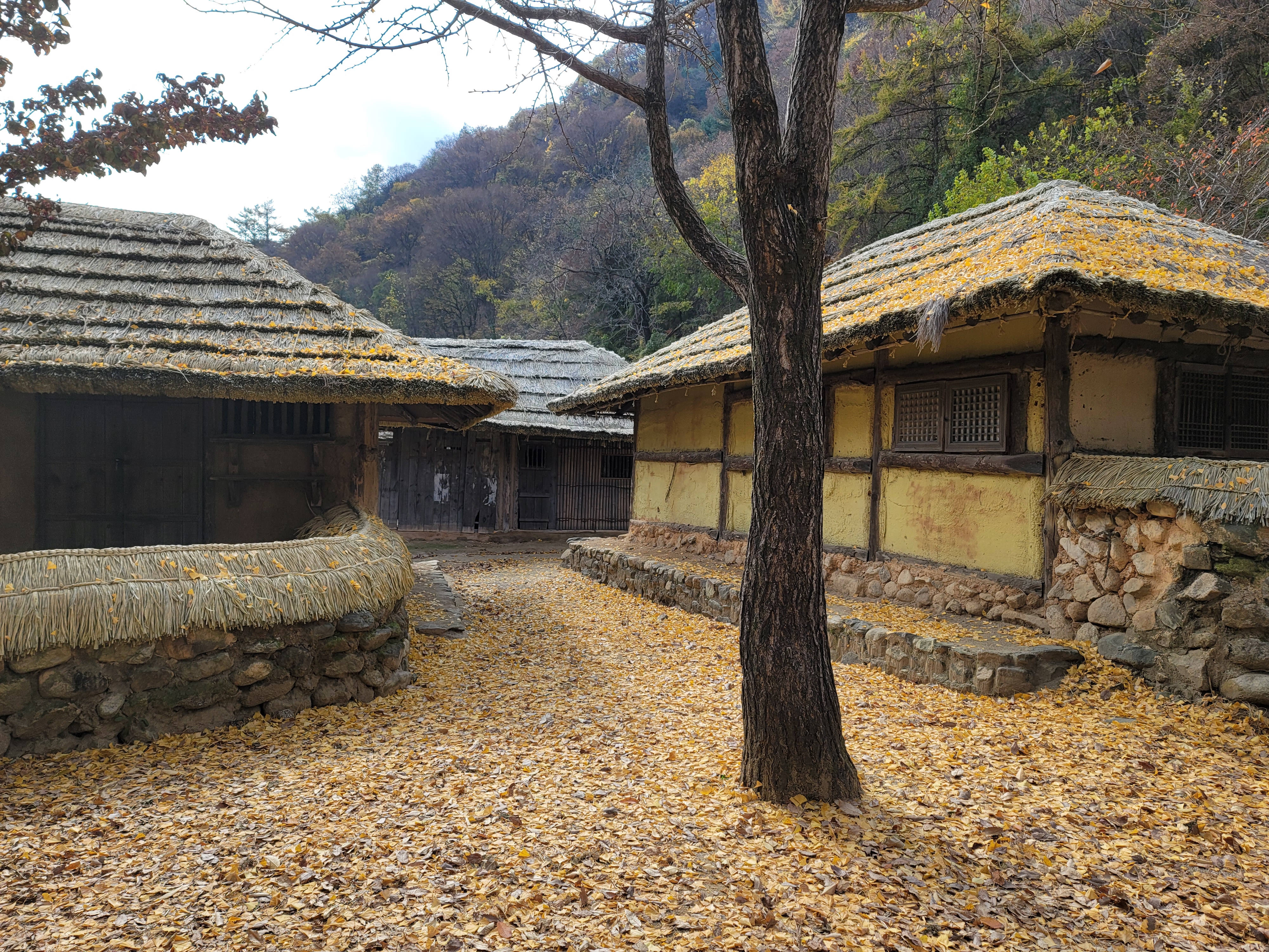 문경 오픈세트장 가을 풍경