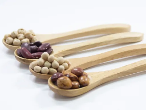 병아리콩 단백질 효과