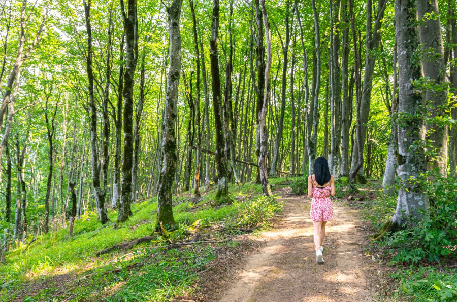 아침 햇살 아래 공원 걷기 장면