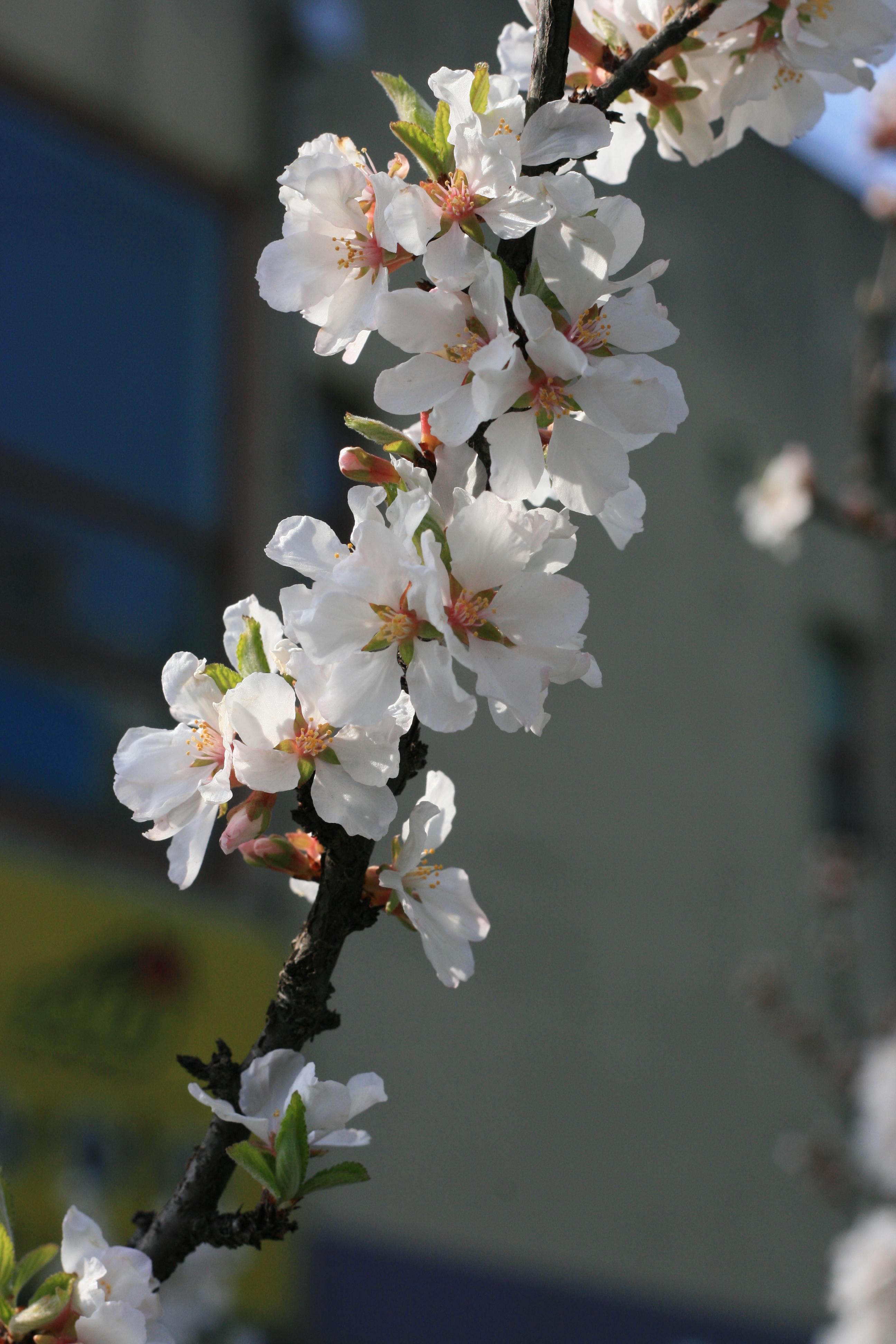 오래된 카메라 버려야 하나.. 고민 하시나요??