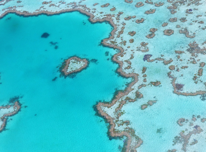 호주 그레이트배리어리프 관련 사진