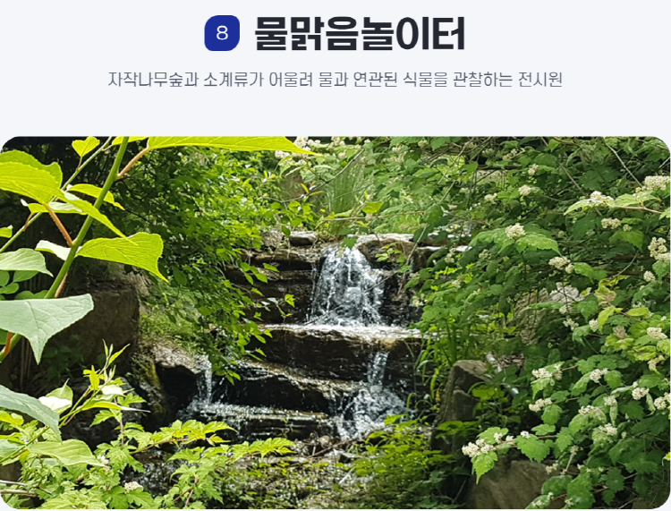 물맑음 수목원