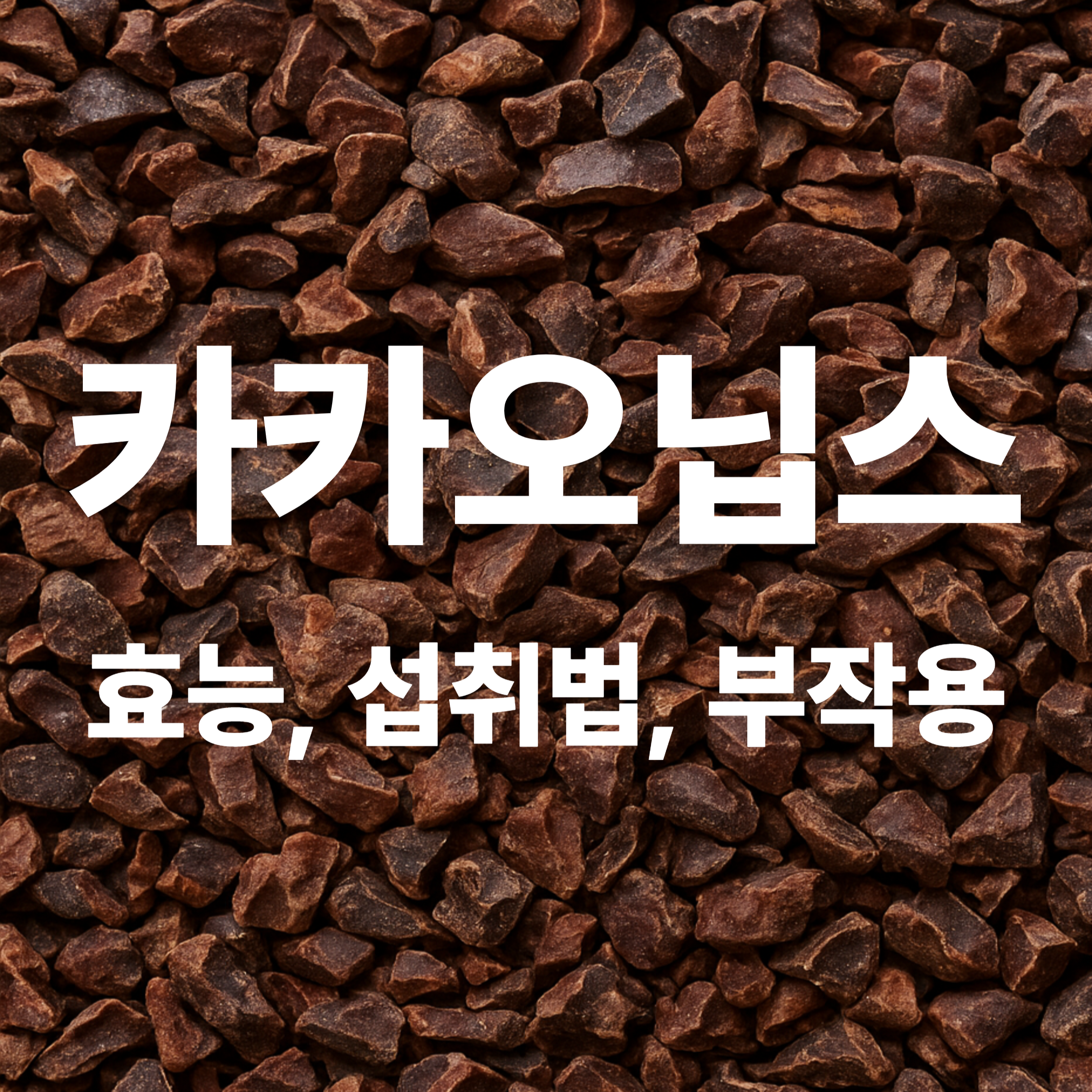 카카오닙스
