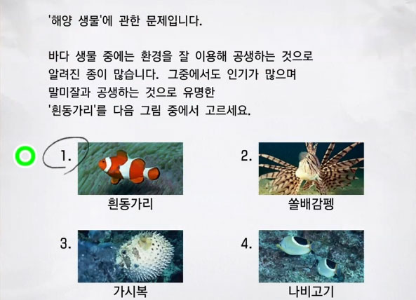 해양 생물 6 이미지