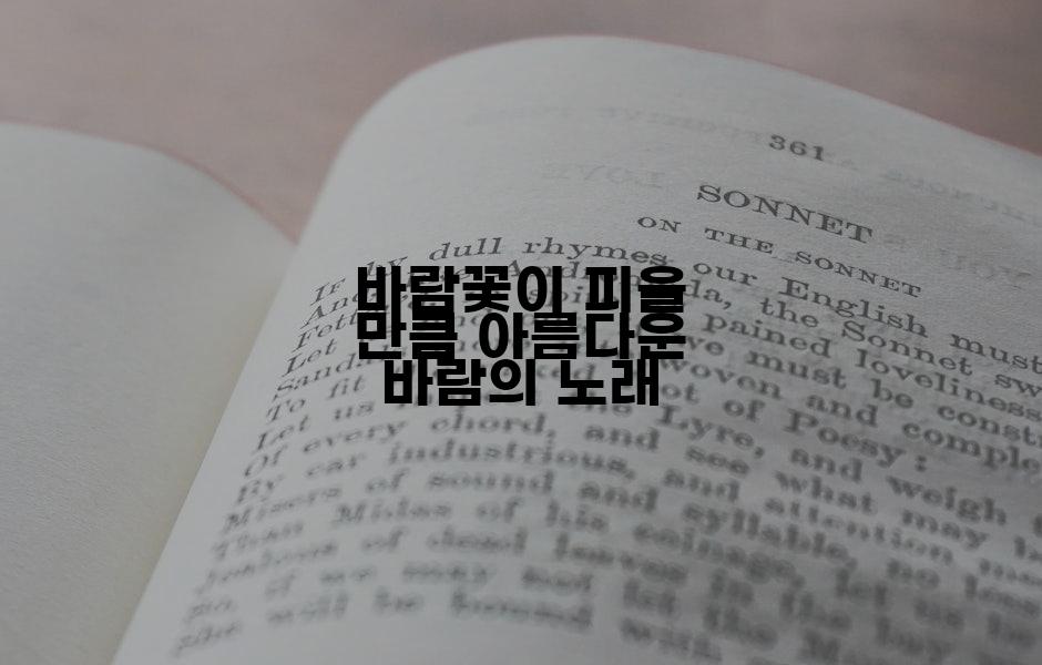 바람꽃이 피울 만큼 아름다운 바람의 노래