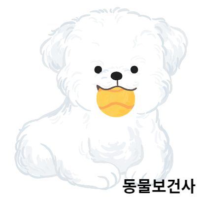동물보건사