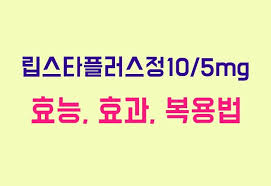 고지혈증치료제&amp;#44;립스타플러스정