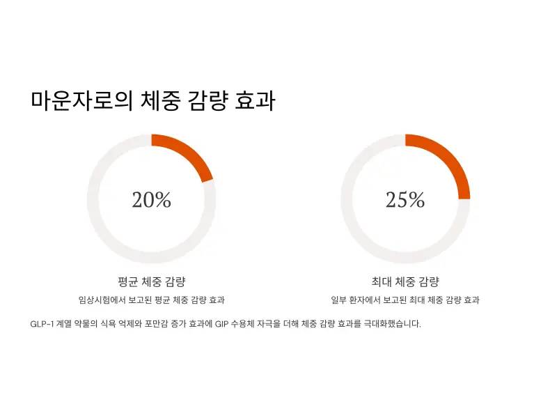 마운자로3_