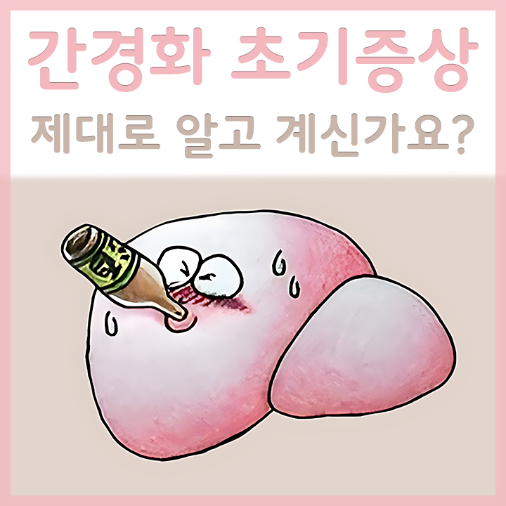 간경화가-진행중인-간의-모습