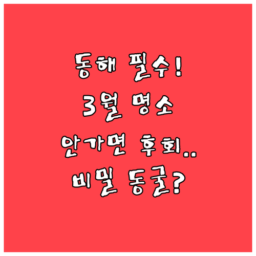 도째비골 해랑전망대와 천곡황금박쥐동굴..
