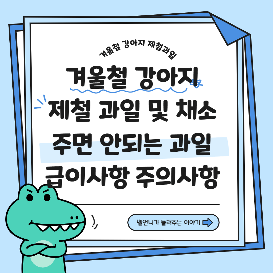 겨울철 강아지 제철과일 및 채소 주면 안되는 과일 주의사항