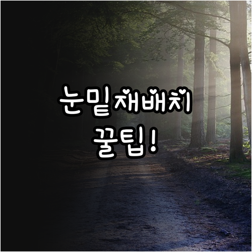 눈밑 지방 재배치와 이식 함께 받는 ..