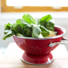 청경채 효능 부작용 고르는법 칼로리