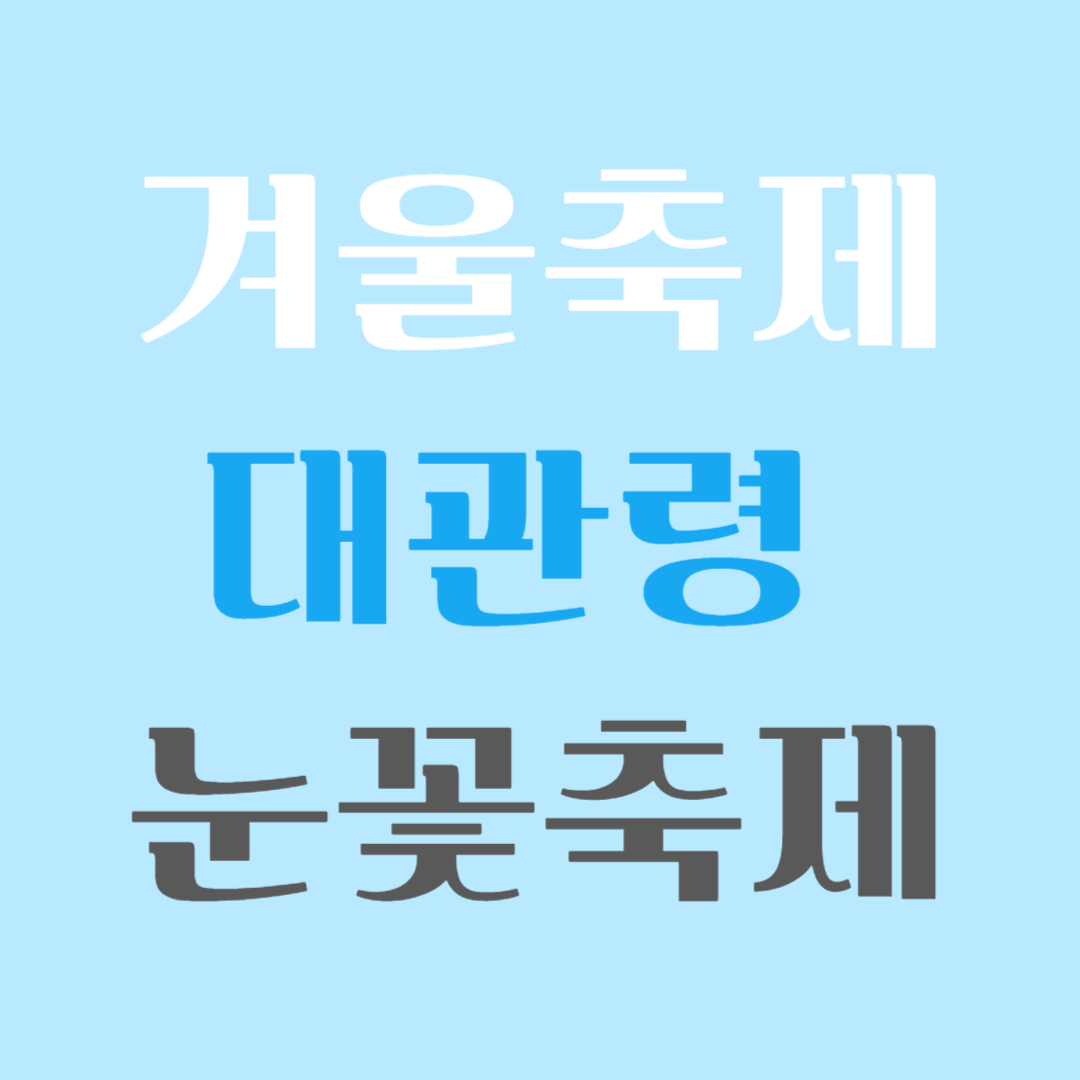 겨울축제 대관령 눈꽃축제