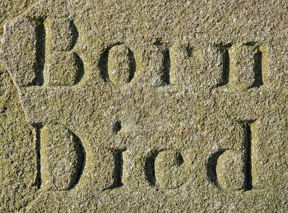 사망 관련 사진