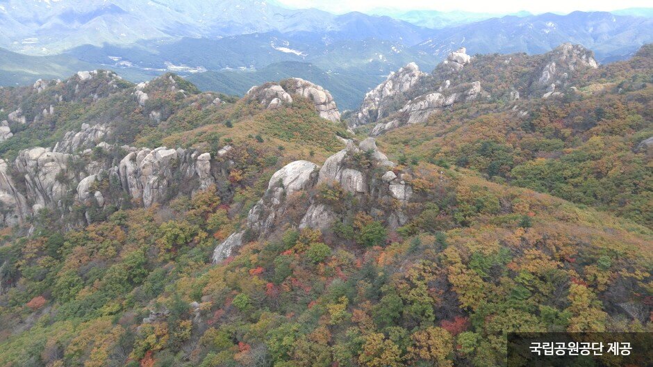 가을 여행지 단풍 추천장소 _ 속리산&amp;#44; 팔공산&amp;#44; 가야산&amp;#44; 지리산&amp;#44; 한라산 국립공원