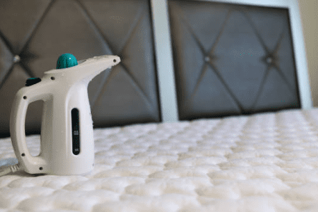 빈대 물린자국 빈대 퇴치법 퇴치제 살충제