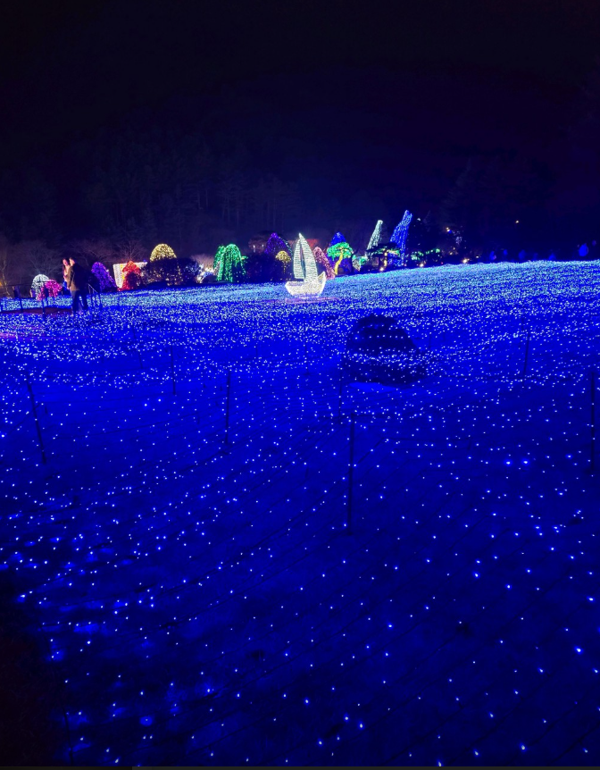 아침고요수목원