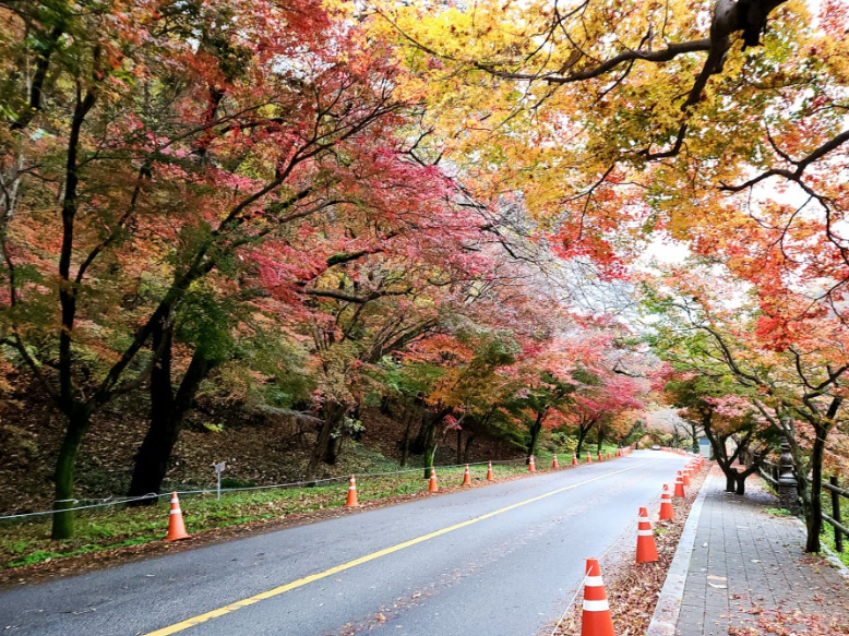 장성 백양사1