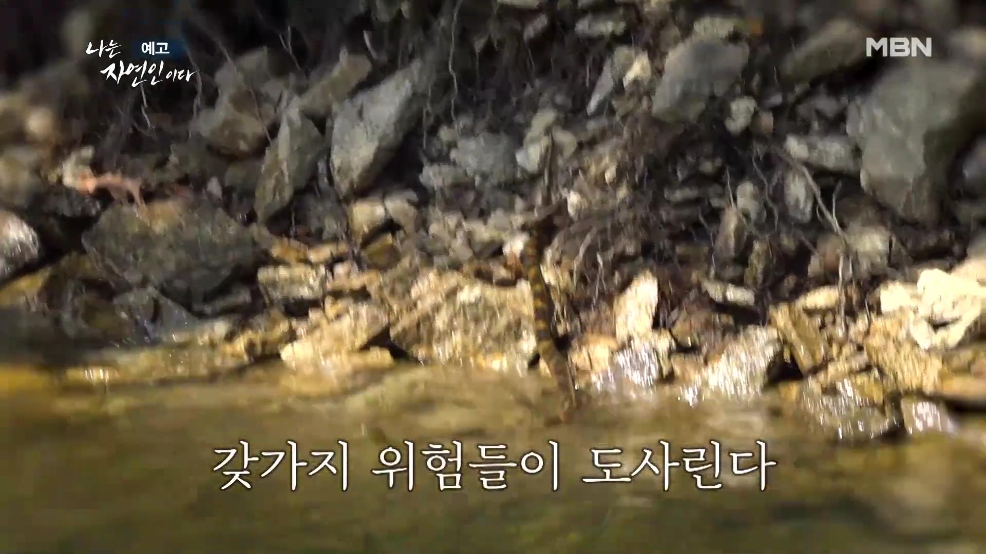나는-자연인이다-이승윤