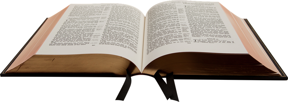 민수기 성경퀴즈 예상문제