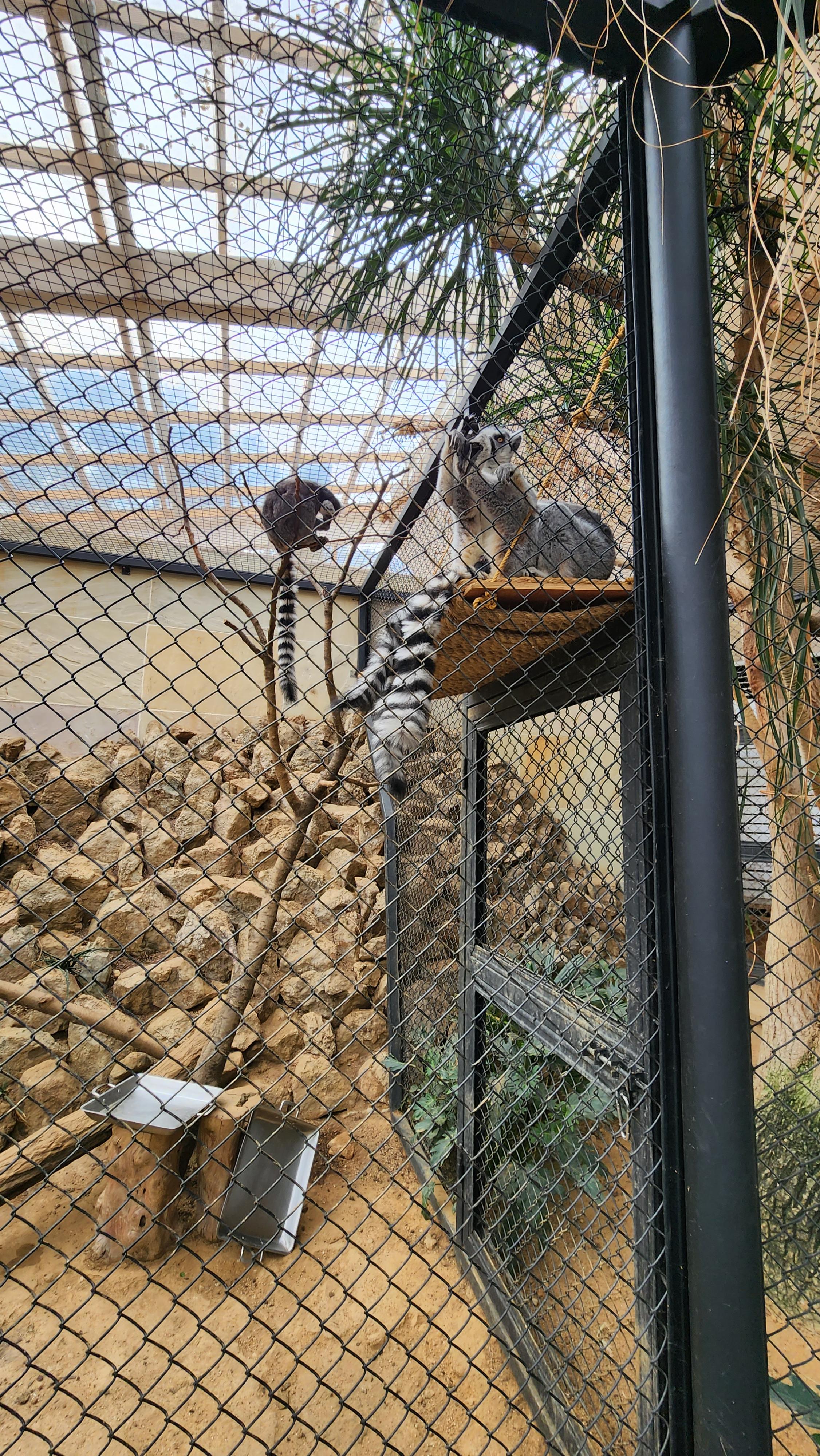 대구-네이처파크