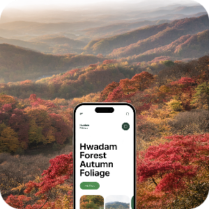 화담숲 예약하기 가상 이미지