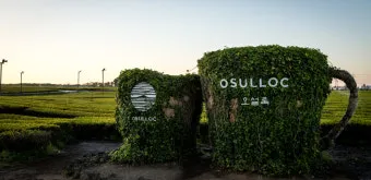 제주 오설록 티뮤지엄 관람 팁과 근처 카페 안내_39