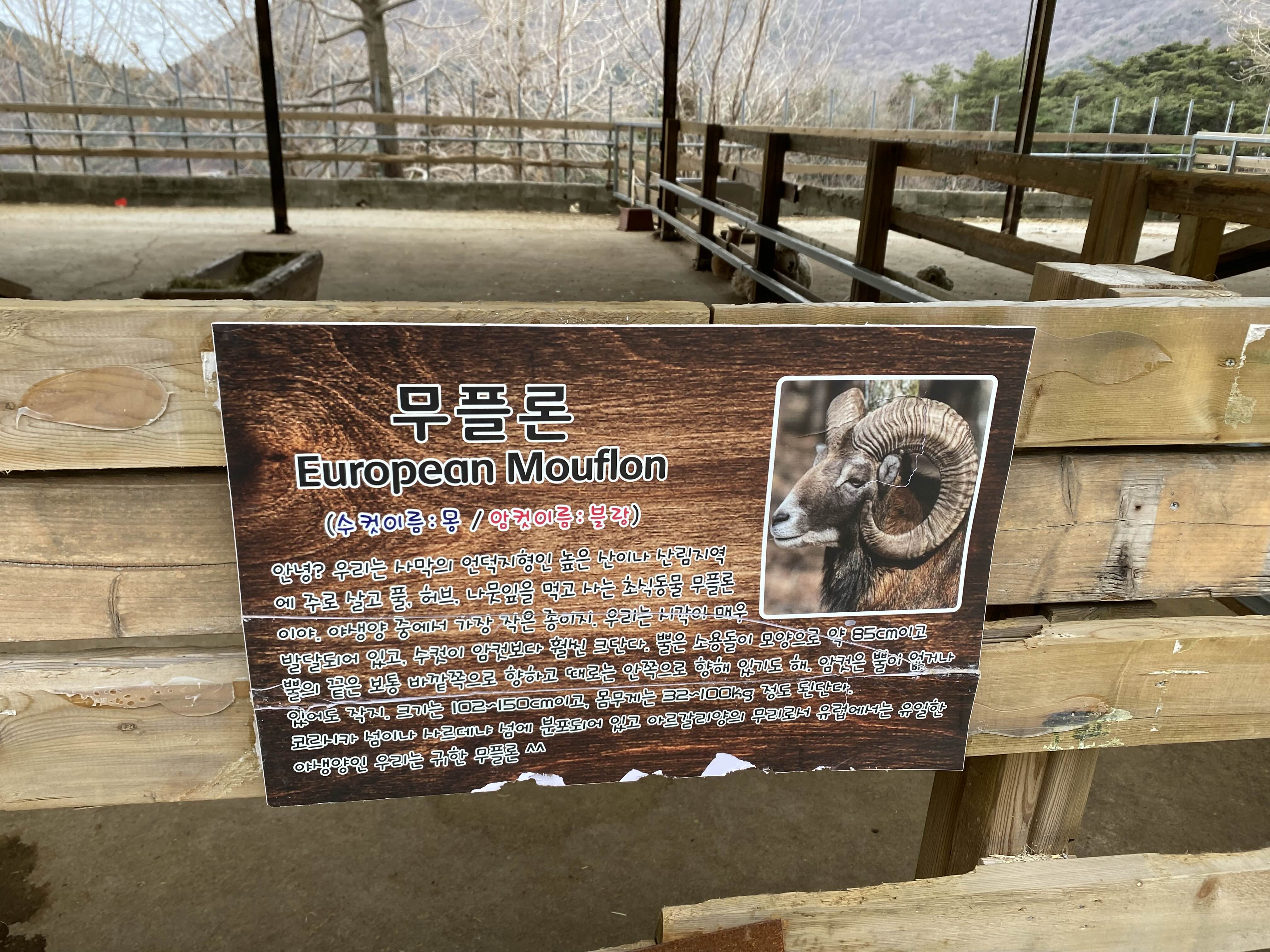 무플론