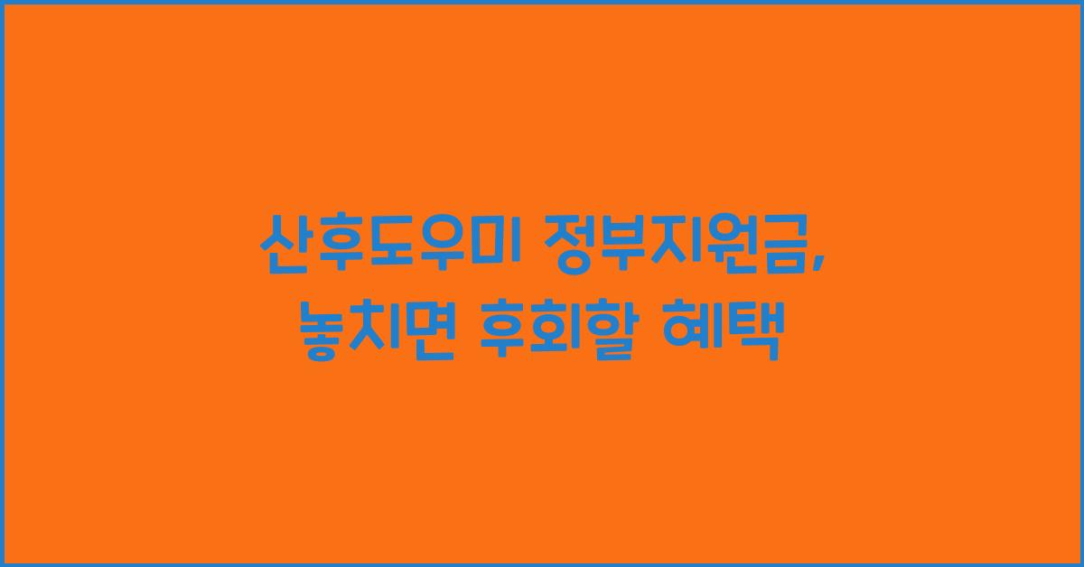 산후도우미 정부지원금