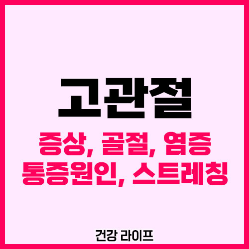 고관절