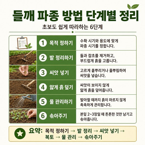 들깨 파종시기