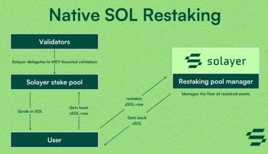솔레이어 코인 전망, 솔레이어 코인 시세, 레이어 코인 기술, 가상자산 투자, 디파이