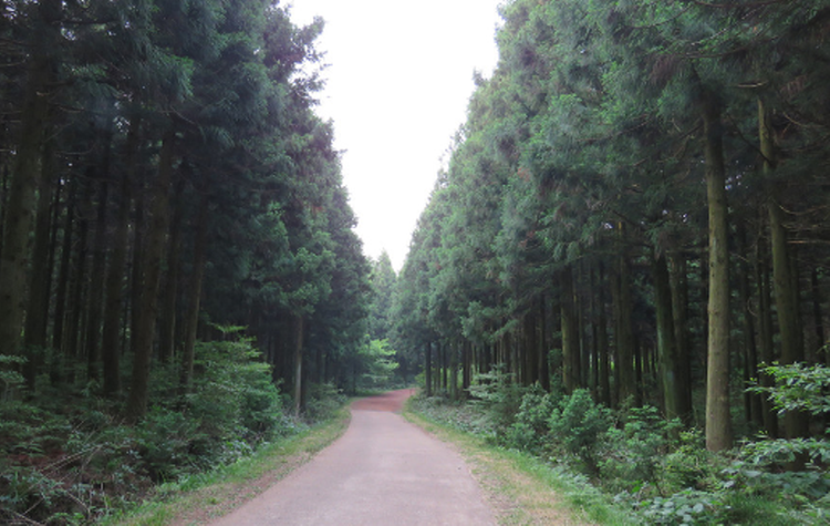 한라산 둘레길