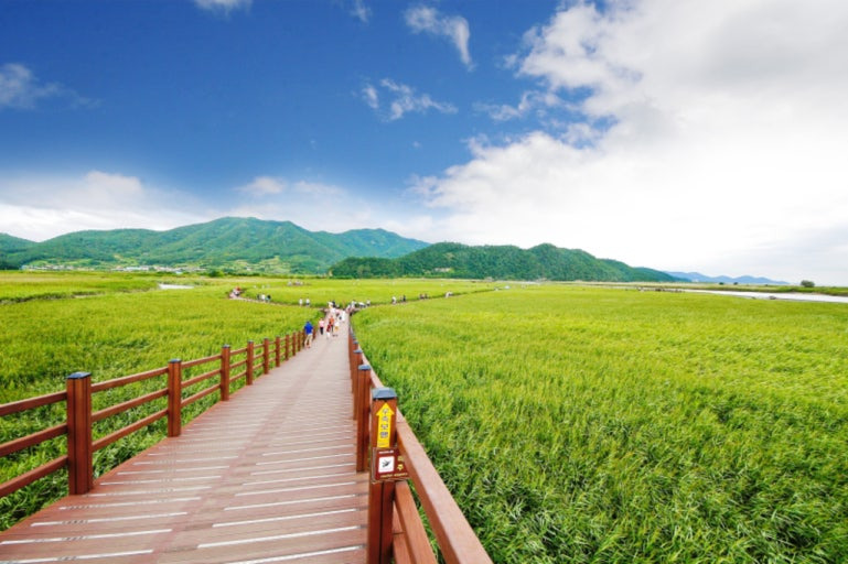 3차 민생지원금 지급지역 순천시