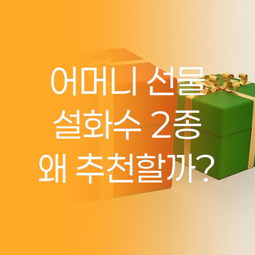 어머니 선물로 딱! 설화수 자음 2종