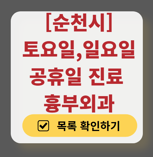순천시 주말 토요일 일요일 흉부외과 진료 병원 목록 ❘ 공휴일 진료 영업 병원 리스트 찾기
