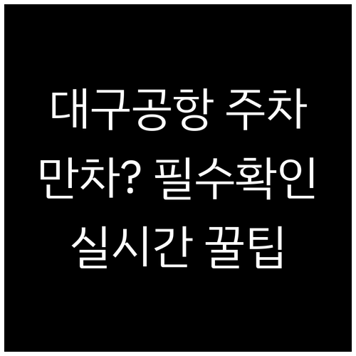 대구공항 주차장 만차 대비 실시간 정..