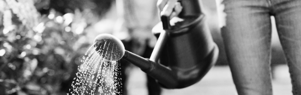 2~3일 지난 수돗물